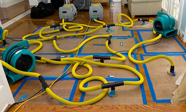 Professional Crawl Space Water Removal technician working in Sheldon, TX